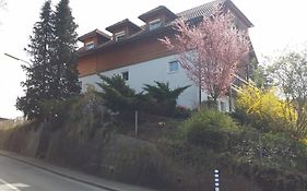 Mayerhofer House